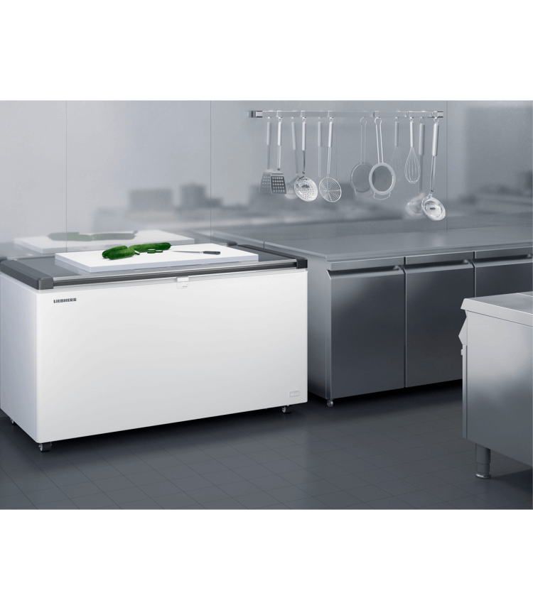 Liebherr | EFL 3056 | Vrieskist - Afbeelding 7
