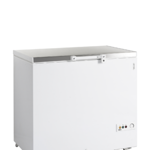 Tefcold | FR305S SL | Diepvrieskist