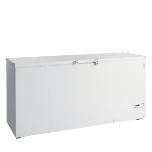 Tefcold | FR605 SL | Diepvrieskist