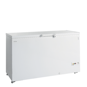 Tefcold | FR505 SL | Diepvrieskist