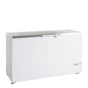 Tefcold | FR505S SL | Diepvrieskist