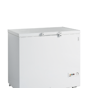 Tefcold | FR305 SL | Diepvrieskist