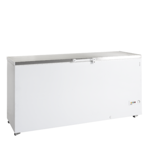 Tefcold | FR605S SL | Diepvrieskist