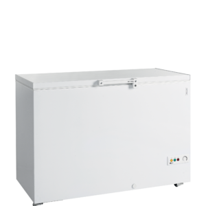 Tefcold | FR405 SL | Diepvrieskist